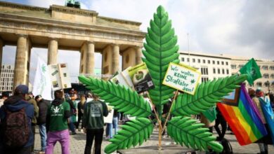 cannabis alemania