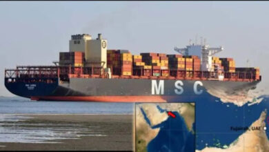 MSC Aries Estrecho de Ormuz 106