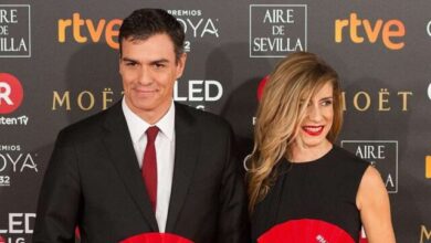 Premios Goya 2018 Pedro Sanche