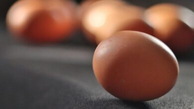 brown egg on black surface